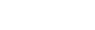 Polo IT